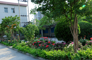 邯鄲理工學(xué)校怎么樣？學(xué)校都有什么專業(yè)？