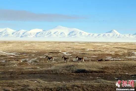 承德騰飛職業(yè)技術(shù)專(zhuān)修學(xué)院的一天