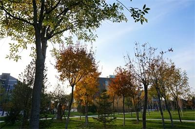 陽光傳媒教育學(xué)校播音與主持藝術(shù)專業(yè)好不好？就業(yè)情況如何？