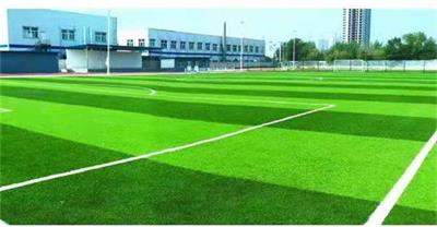 醫(yī)學(xué)影像技術(shù)專(zhuān)業(yè)去哪里學(xué)習(xí)？   