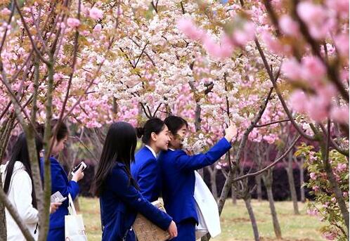 武漢東湖學(xué)院自考本科專業(yè)有哪些？