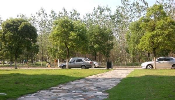 唐山慧豐會(huì)計(jì)培訓(xùn)學(xué)校特色班有哪些？