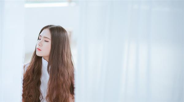 石家莊東方學(xué)院都開設(shè)了哪些專業(yè)？