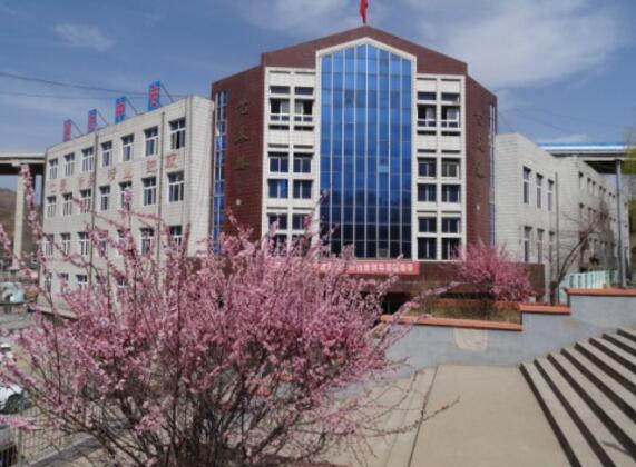 承德通達(dá)中等專業(yè)學(xué)校國際商務(wù)專業(yè)是留學(xué)專業(yè)嗎？