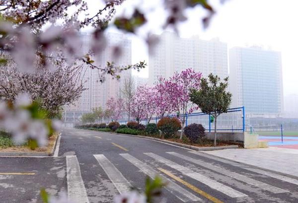 河北大學(xué)新世紀函授站成人高考輔導(dǎo)班怎么樣？