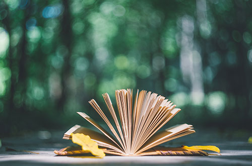 現(xiàn)代遠(yuǎn)程教育怎么樣？能考哪些學(xué)校？