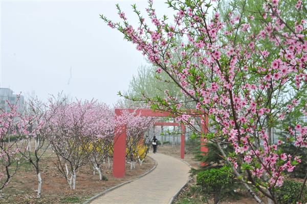 山東交通技師學(xué)院是一所怎么樣的學(xué)校？