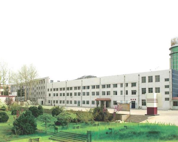 山東哪所學(xué)校能報(bào)考春季高考？