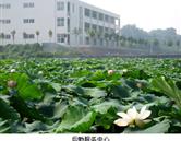 鄭州澍青醫(yī)學高等專科學校